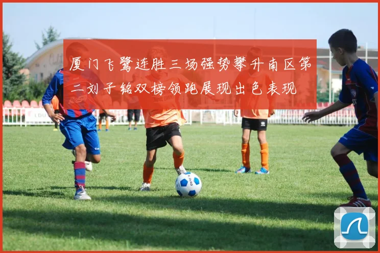 厦门飞鹭连胜三场强势攀升南区第二刘子铭双榜领跑展现出色表现